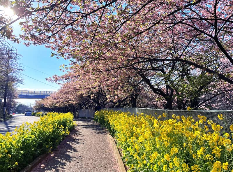 三浦霊園