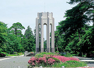 多磨霊園