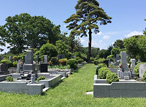 小平霊園