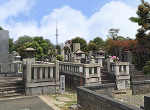 谷中霊園