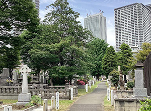 雑司ヶ谷霊園